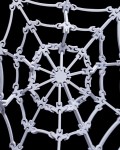 The_Spiders_Web_4_2ec3b26188.jpg