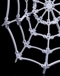 The_Spiders_Web_5_e9fb4c04d9.jpg