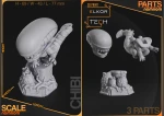 xeno_3.png