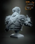 Bust_Hallsin_3.png