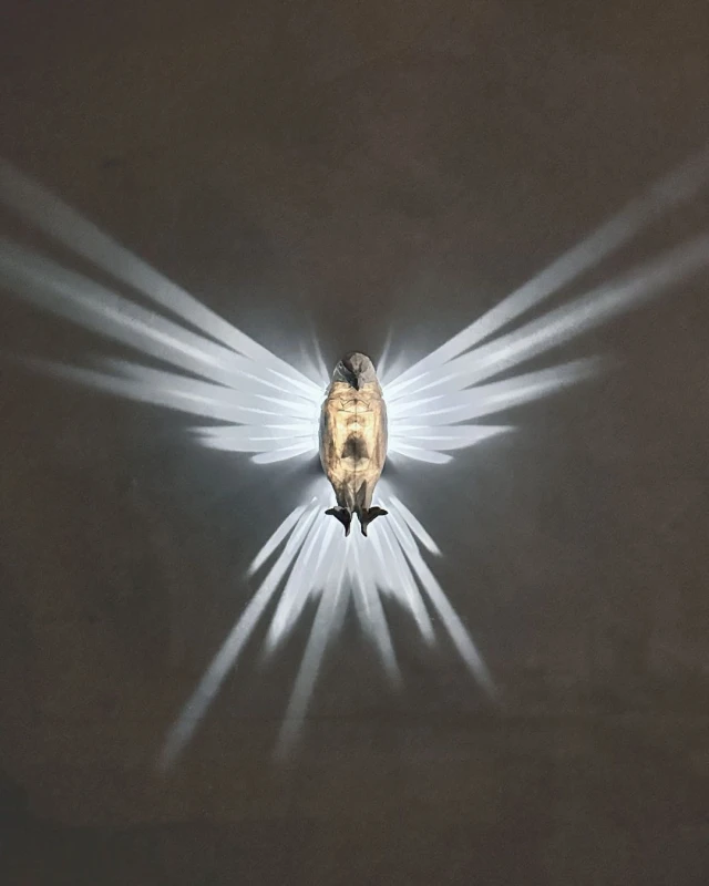Orzel.jpg
