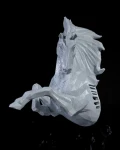 Pegasus_Wall_Light_3_f588f93b70.jpg