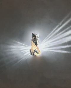 Lampka Nocna Pegasus