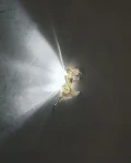 Dream_Fairy_Wall_Light10_da8b3ee124.jpg