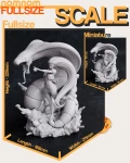 Scaling.jpg